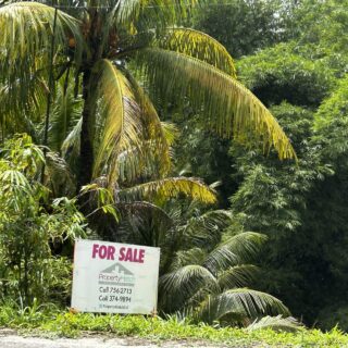 Nestor Village, Guaico Tamana- Land For Sale