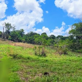 RESIDENTIAL LAND FOR SALE, SANGRE CHIQUITO