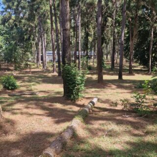 Sandy Hill Nature Resort, La Cuesa Freeport – 2 Parcels of Land For Sale (1.5 Acres each)