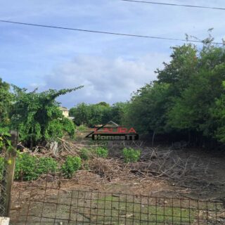 Carnbee Tobago – Land for Sale
