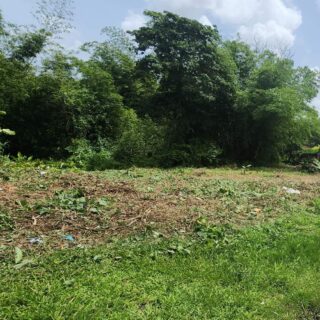 PRINCES TOWN /APPROVED HALF AN ACRE