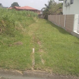 Palmiste Land for Sale