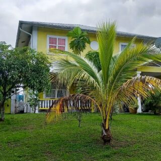 The Crossings, Arima