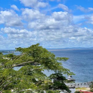 Glencoe Apartment for rent semi furnished $10,000
