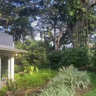 Blue Range Apartment for Rent