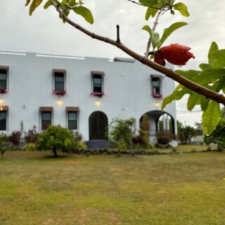 🌺 Vida Roma at Casa Josepha