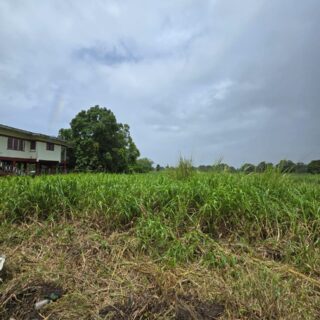 Land for Sale – La Cuesa Road, Freeport $1.25 Million