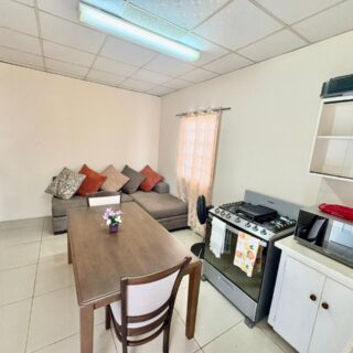 SPACIOUS FULLY FURNISHED APT, WATTS ST, ST AUGUSTINE