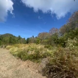Mt Pleasant Acreage For Sale – Tobago