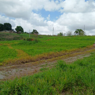 Land For Sale In Claxton Bay